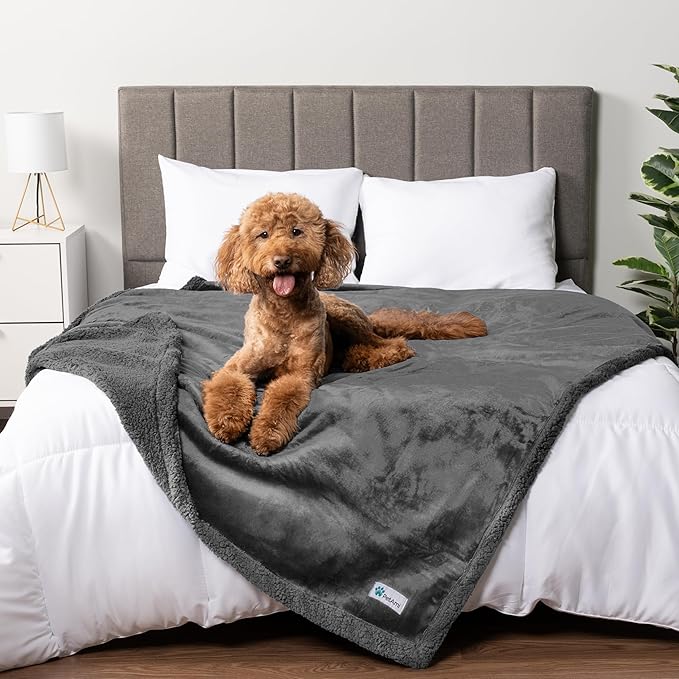 PetAmi Waterproof Dog Blanket for Queen Bed Large XL Dog Throw for Couch Cover Leakproof Furniture Protection, Sherpa Fleece, Reversible Soft Washable 90x90 Gray Gray