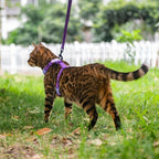 Cat Harness and Leash Set with Airtag Holder for Walking & Travelling, Escape Proof Cat Harness for Small Medium Large Kitten, Adjustable Lightweight Soft Cat Vests (Purple)