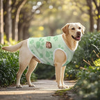 Personalized Matching Dog and Owner Clothes Separately Sold, Custom Face Nightgown for Women Dogs