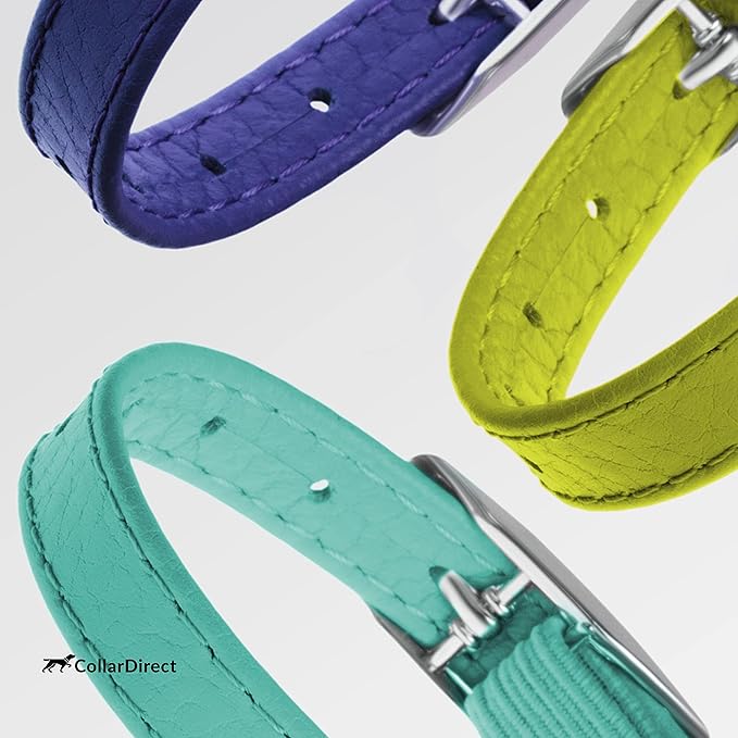 CollarDirect Leather Cat Collar with Bell - Kitten Collar, Small and Big Cat Collar for Boy Cats, Girl Cats with Safety Elastic Strap (Neck Fit 6"-7", Mint Green)