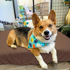 Dog Bed Cover Waterproof Replacement Machine Washable Covers for Dog Bed Heavy Duty Scratch Resistant Mattress Protector Pet Bed 20x15 Inch Brown Cover Only