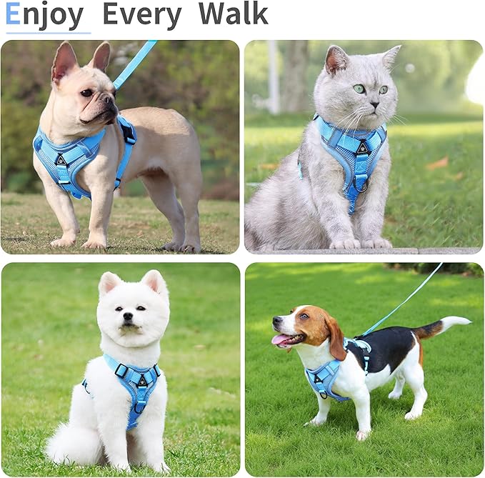 No Pull Dog Harness with Leash Set for Small Sized Dog, Reflective Adjustable No Choke Front Clip Cat Vest Harness with Breathable Mesh, Comfortable Soft Padded Pet Vest, Blue M