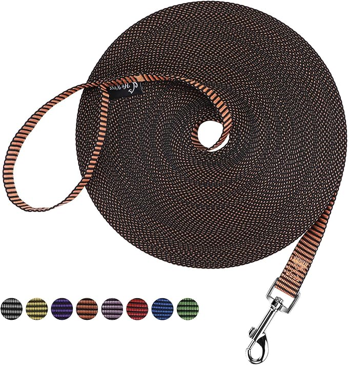 Hi Kiss Dog/Puppy Obedience Recall Training Agility Lead - 15ft 20ft 30ft 50ft 100ft Training Leash - Great for Training, Play, Camping, or Backyard(30ft,Black_Orange)