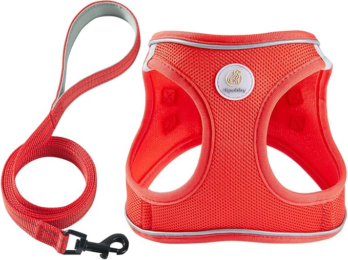Hipubby Dog Harness and Leash Set, No Pull Soft Mesh Puppy Harness for Small Medium Dogs, Cats - Step in Reflective Breathable Lightweight Vest Harness for Walking, Training - Red, S