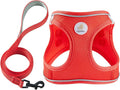 Hipubby Dog Harness and Leash Set, No Pull Soft Mesh Puppy Harness for Small Medium Dogs, Cats - Step in Reflective Breathable Lightweight Vest Harness for Walking, Training - Red, S