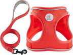 Hipubby Dog Harness and Leash Set, No Pull Soft Mesh Puppy Harness for Small Medium Dogs, Cats - Step in Reflective Breathable Lightweight Vest Harness for Walking, Training - Red, S