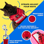 Travel Cat Harness and Leash Set - Adjustable Fit Mesh Cat Harness and Reflective Strap - Comfort Walking Vest for Kitten for Outdoor Walking, Hiking (Large, Red)
