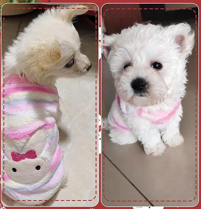 2 Pieces XXS Chihuahua Cute Small Dog Puppy Winter Extra Small Dachshund Sweater Fleece Pet Clothing