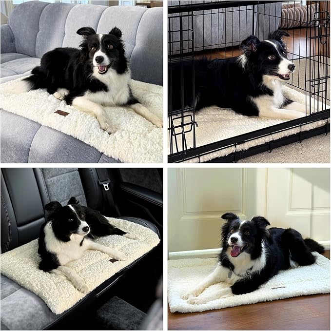 Fluffy Reversible Dog Bed Mat - Ultra Soft & Machine Washable Dog Crate Pad fit for Metal Kennel, Cozy Sleeping Mat, 29" x 18", Beige