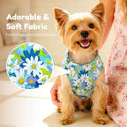 BAEJMJK Dog Harness and Leash Set with Bow Knot No Pull Pet Daisy Floral Harness with D-Ring Soft Mesh Dog Harness Vest Set Escape Proof Princess Puppy Harness for Small Girl Dogs Cats（Blue A S）