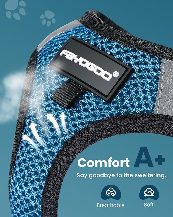 FAYOGOO Cat Harness, Cat Leash and Harness Set for Walking Escape Proof, Harness for Small Cats/Small Dogs, Large Kitten/Puppy Harness and Leash, Harness for Cats S-XXL(Tranquil Teal, Medium)