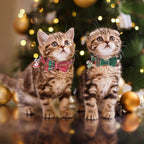 ADOGGYGO Christmas Cat Collars Breakaway with Removable Bow Tie Bell, 2 Pack Red Green Plaid Christmas Bow Collar for Cats Kittens