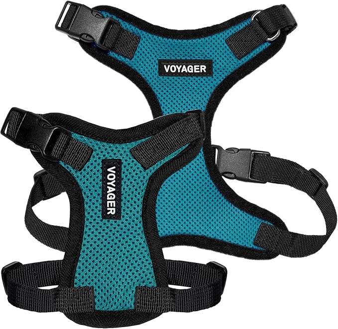 Voyager Step-in Pet Harness - All Weather Mesh, Adjustable Step in Harness for Cats and Dogs by Best Pet Supplies - Turquoise/Black Trim, S