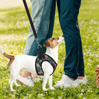 PUPTECK Adjustable Dog Harness Collar and Leash Set Step in No Pull Pet Harness for Small Medium Dogs Puppy and Cats Outdoor Walking Running, Soft Mesh Padded Reflective Vest Harnesses