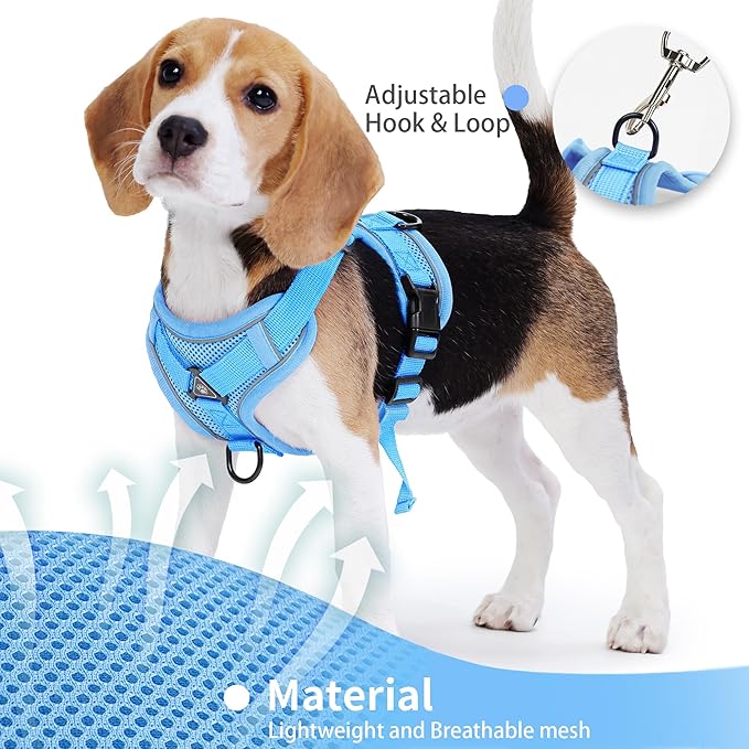 No Pull Dog Harness with Leash Set for Small Sized Dog, Reflective Adjustable No Choke Front Clip Cat Vest Harness with Breathable Mesh, Comfortable Soft Padded Pet Vest, Blue M