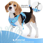 No Pull Dog Harness with Leash Set for Small Sized Dog, Reflective Adjustable No Choke Front Clip Cat Vest Harness with Breathable Mesh, Comfortable Soft Padded Pet Vest, Blue M