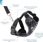 RC Pets Adventure Kitty Cat Harness | Adjustable Airmesh Vest with D-Ring and 6ft Leash for Walking and Travel | Daisies, Large