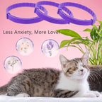 Wustentre 3 Pack Adjustable Anxiety Collar - Cat Calming Pheromones for Cats & Kittens, Stress Reliever - Relaxing Comfortable Collar (Violet)