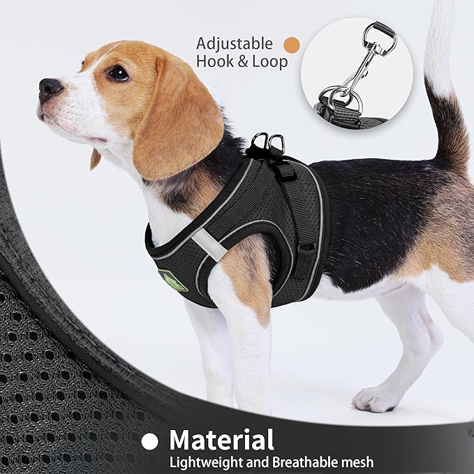 Step in Dog Harness with Leash Set, Adjustable Soft Padded and Breathable Mesh for Small Sized Dog, Reflective No Pull No Choke Cat Vest Harness, Easy Control Pet Vest, Black L