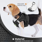 Step in Dog Harness with Leash Set, Adjustable Soft Padded and Breathable Mesh for Small Sized Dog, Reflective No Pull No Choke Cat Vest Harness, Easy Control Pet Vest, Black L