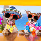 Weewooday 15 Pieces Sublimation Heat Transfer Dog Bandana Triangle Dog Scarf Polyester Pet Bandana DIY Handkerchief Bib for Dogs Puppy