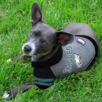 Pets First Philadelphia Eagles Hoodie Tee Shirt for Dogs, X-Small, Multi-Color