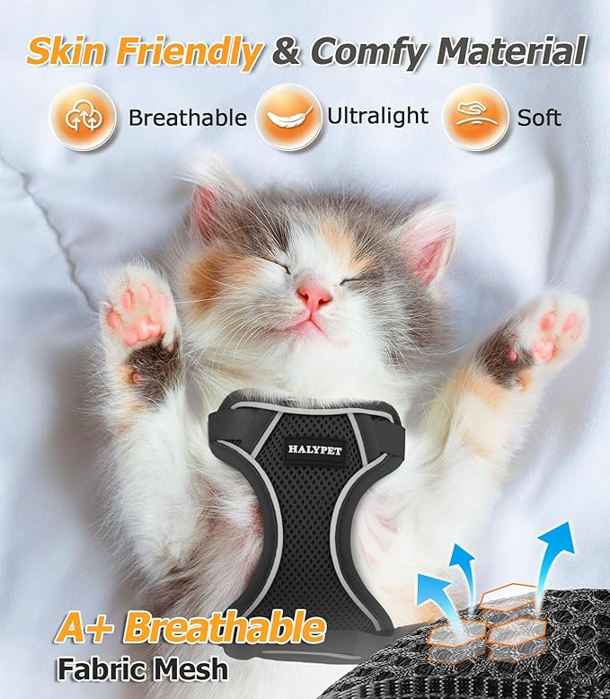 Halypet Cat Harness and Leash Set [MAX Safety 4th-Gen Upgrade] Escape Proof Adjustable Cat Leash Comfortable Soft Vest Easy to Wear Kitten Harness with Reflective Strip for Cats Walking, M Black