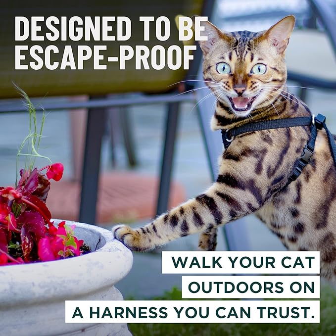 Houdini™ Escape Proof Cat Harness and Leash Set by OutdoorBengal – Black, Medium Cat Harness for Walking