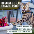 Houdini™ Escape Proof Cat Harness and Leash Set by OutdoorBengal – Orange, Large Cat Harness for Walking Big Cats