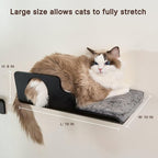 Cat Wall Shelves, Creative Design Cat Shelf with Peephole, 19 x 10 inch Cats Wall Furniture with Comfortable Pad, Cats Perch for Sleeping, Playing, and Scratching, Walnut