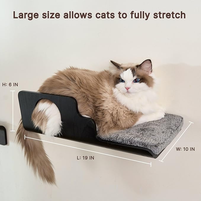 Cat Wall Shelves, Creative Design Cat Shelf with Peephole, 19 x 10 inch Cats Wall Furniture with Comfortable Pad, Cats Perch for Sleeping, Playing, and Scratching, Walnut