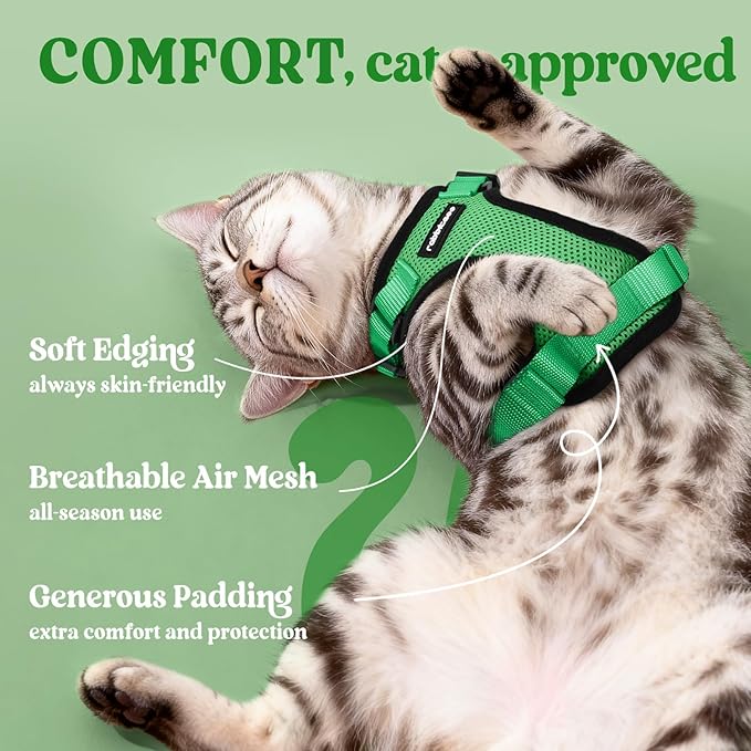rabbitgoo Cat Harness and Leash for Walking, Escape Proof Soft Adjustable Vest Harnesses for Cats, Easy Control Breathable Reflective Strips Jacket, Grass Green, XXS