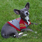 Pets First NFL San Francisco 49ers Hoodie for Dogs & Cats. | NFL Football Licensed Dog Hoody Tee Shirt, Small| Sports Hoody T-Shirt for Pets | Licensed Sporty Dog Shirt