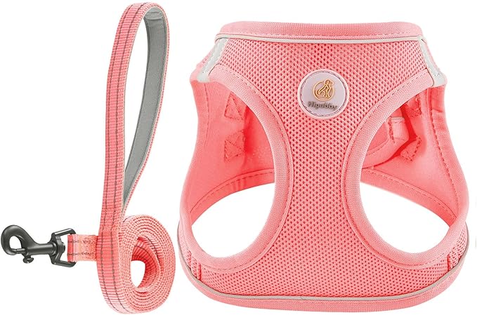 Hipubby Dog Harness and Leash Set, No Pull Soft Mesh Puppy Harness for Small Medium Dogs, Cats - Step in Reflective Breathable Lightweight Vest Harness for Walking, Training - Pink, S