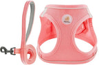 Hipubby Dog Harness and Leash Set, No Pull Soft Mesh Puppy Harness for Small Medium Dogs, Cats - Step in Reflective Breathable Lightweight Vest Harness for Walking, Training - Pink, XS