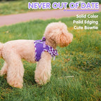 PUPTECK Dog Harness for Puppy and Small Sized Dogs, Step-in No Pull Soft Mesh Vest Harness for Cats Small Pets Walking, Purple, New XXS