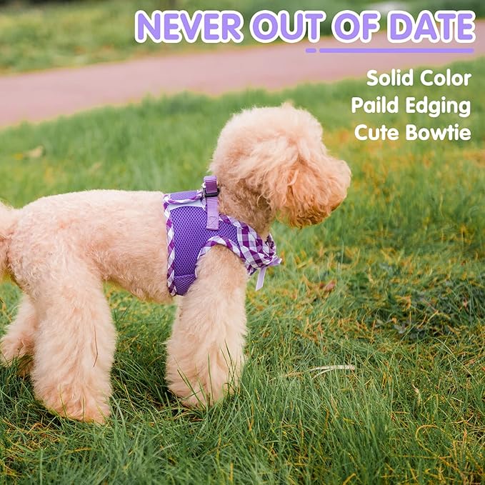 PUPTECK Dog Harness for Puppy and Small Sized Dogs, Step-in No Pull Soft Mesh Vest Harness for Cats Small Pets Walking, Purple, New XXS