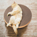 Round Cat Scratcher Refill - 10 Inch Diameter, 7/8 Inch Thickness - Cardboard Cat Scratcher Scratching Board Replacement Pads (2pcs) for Indoor Cats