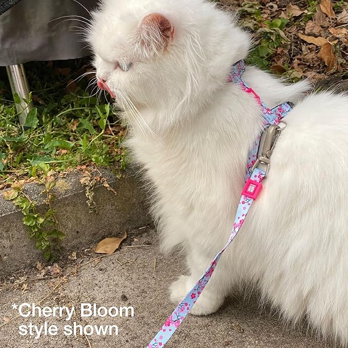 Max and Molly Adjustable Cat Harness and Leash Set - Escape-Proof Cat Harness with Leash for Outdoor Walking and Exploring, Soft Padded Double Stitched Fabric (Tropical)