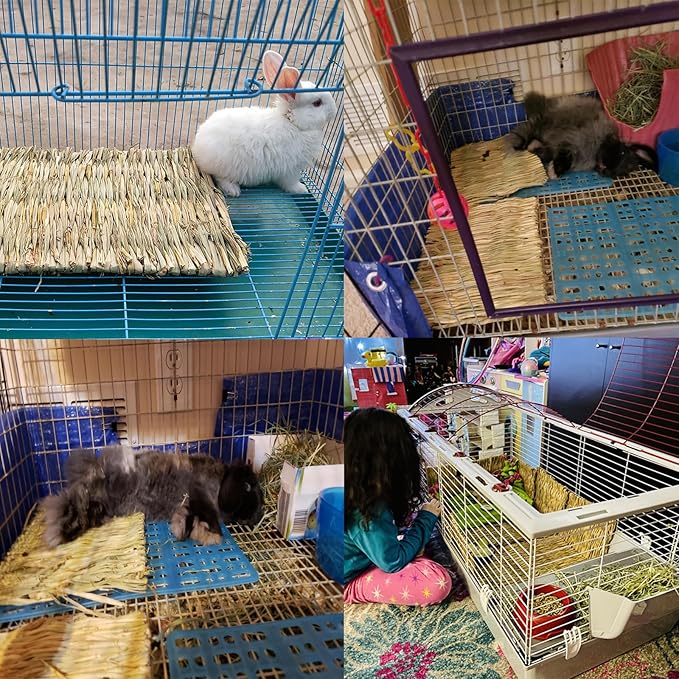 PINVNBY 4 Pack Woven Grass Mats for Rabbits,11.0"x8.3" Natural Bunny Hay Mat Large Guinea Pig Straw Handwoven Bedding Chewable & Cooling Mat - Eco-Friendly Cage Liner Nesting Toy