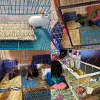 PINVNBY Natural Grass Mat for Rabbits,2 Pack Rabbit Hay Mats,100% Handwoven Hay Chewable Bedding & Cooling Mat for Bunny Guinea Pigs Hamsters Chinchillas - Eco-Friendly Cage Liner,Nesting Toy
