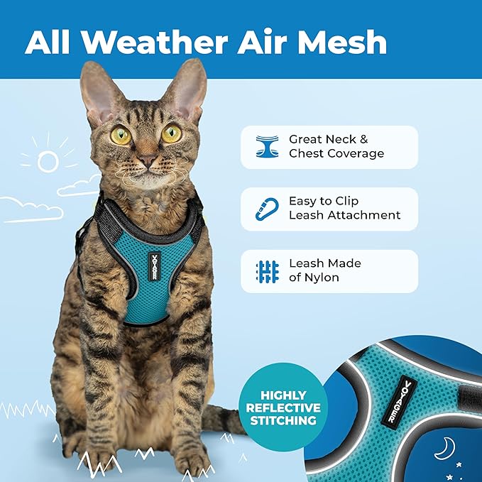 Voyager Escape-Proof Step-in Lock Cat Harness & 5ft Neoprene-Handle Leash Set All-Weather Mesh with Reflective Stitching for Small to Large Cats by Best Pet Supplies, Black Trim-Turquoise (327), XXXS