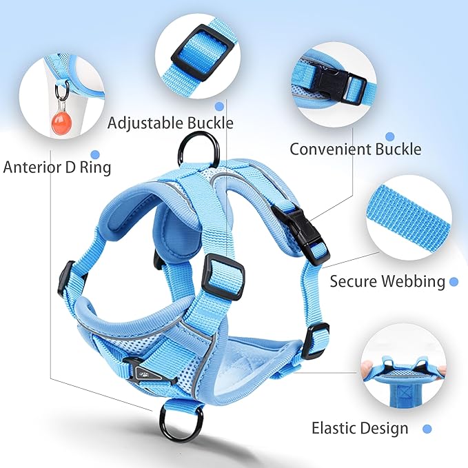 No Pull Dog Harness with Leash Set for Small Sized Dog, Reflective Adjustable No Choke Front Clip Cat Vest Harness with Breathable Mesh, Comfortable Soft Padded Pet Vest, Blue M