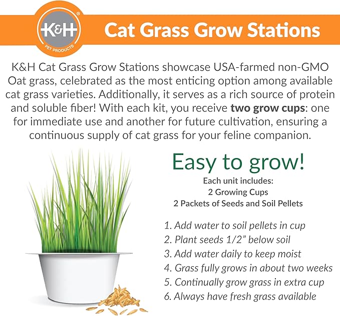 K&H Pet Products Window Lounger with Oat Grass, Cat Window Perch for Large Cats, Farmed in USA, Non-GMO Grass Kit, Sturdy Kitty Sill Window Hammock Bed, Steel Frame, Sturdy Suction Cups - 23 X 12in