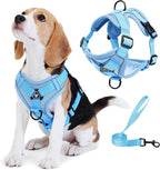 No Pull Dog Harness with Leash Set for Small Sized Dog, Reflective Adjustable No Choke Front Clip Cat Vest Harness with Breathable Mesh, Comfortable Soft Padded Pet Vest, Blue M