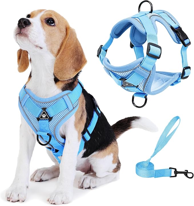 No Pull Dog Harness with Leash Set for Small Sized Dog, Reflective Adjustable No Choke Front Clip Cat Vest Harness with Breathable Mesh, Comfortable Soft Padded Pet Vest, Blue M