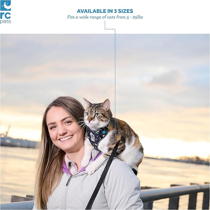 RC Pets Adventure Kitty Cat Harness | Adjustable Airmesh Vest with D-Ring and 6ft Leash for Walking and Travel | Marigold, Small