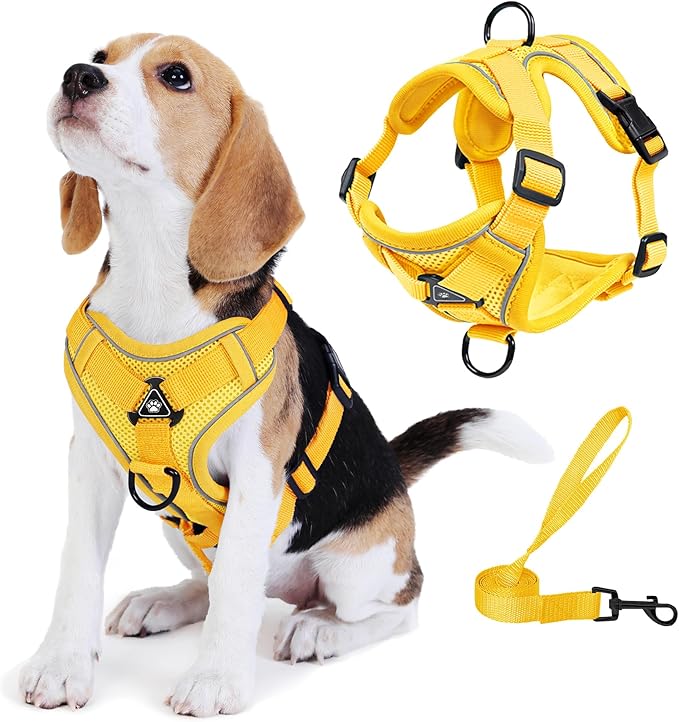No Pull Dog Harness with Leash Set for Small Sized Dog, Reflective Adjustable No Choke Front Clip Cat Vest Harness with Breathable Mesh, Comfortable Soft Padded Pet Vest, Yellow M