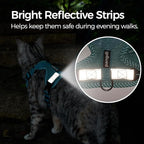 Cat Harness and Leash Escape Proof Large Kitten Harness Ragdoll Cat Vest for Walking Travel, Turquoise, L