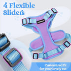 rabbitgoo Cat Harness and Leash Set, Escape Proof Soft Adjustable Vest Harnesses for Outdoor Walking, Easy Control Breathable Kitten Jacket with Reflective Strips, Purple & Blue, M